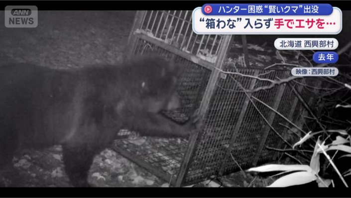 箱わなのフレームを触れる
