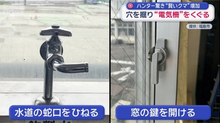市の職員が目撃