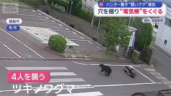 福島市で4人を襲ったツキノワグマ