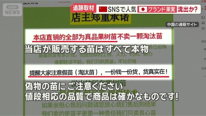 通販サイトの説明文