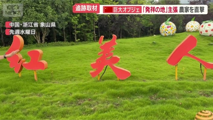 元々は日本の「紅まどんな」