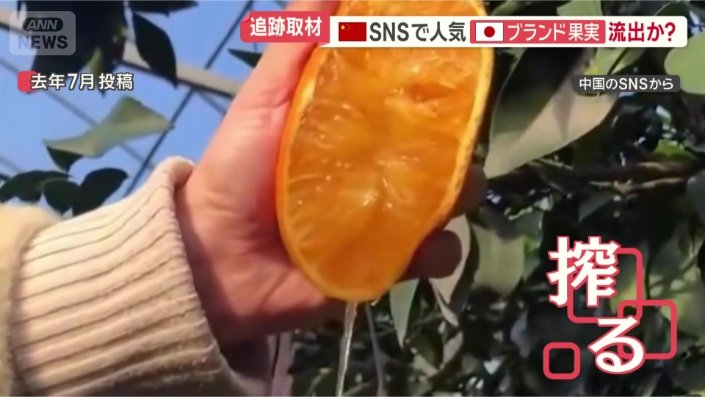 特徴や栽培について説明