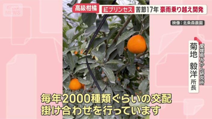 「確率は1万5000分の1」