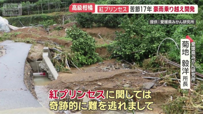 ダメージを受けた中…