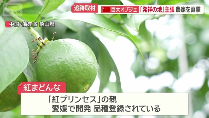「紅プリンセス」の親にあたる品種