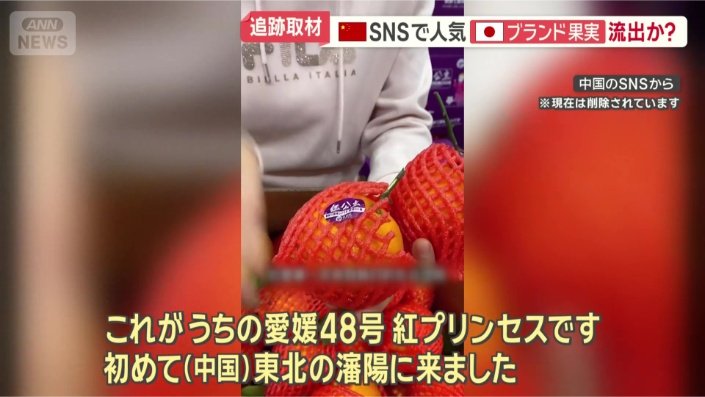 「紅プリンセス」を紹介する動画