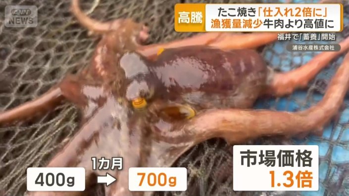 1カ月で400gが700gに