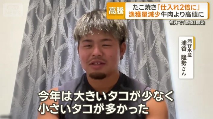 漁でとれた小さなタコを育てて、出荷する取り組み