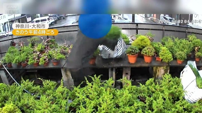 防犯用のライトが光ると…