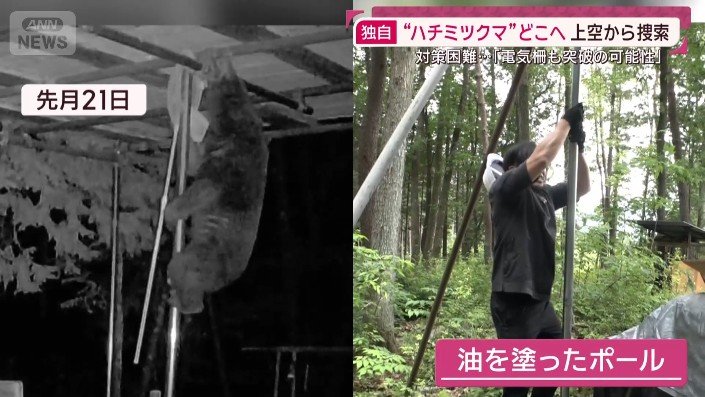 油を塗ったポール