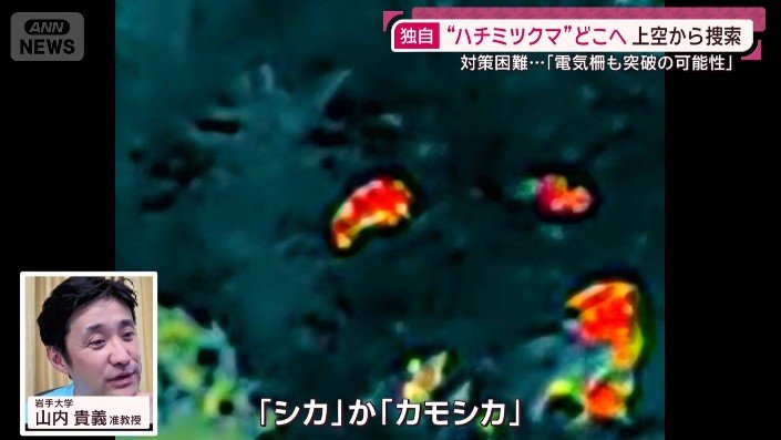岩手大学 山内貴義 准教授