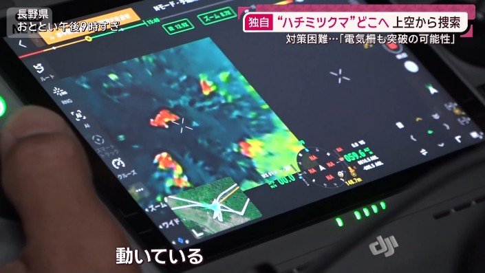 上空から捜索