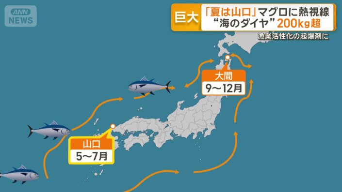 山口では5月から7月