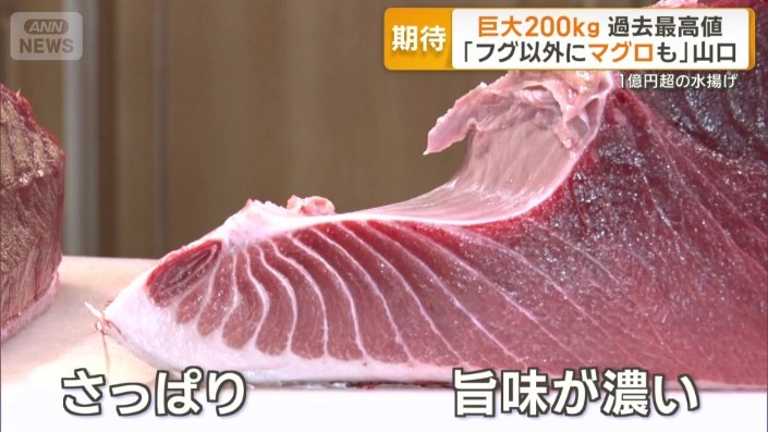 うま味が濃くさっぱりした夏のマグロ