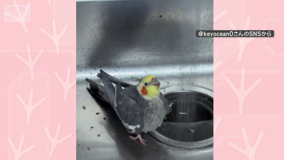蛇口から出る水の前で…