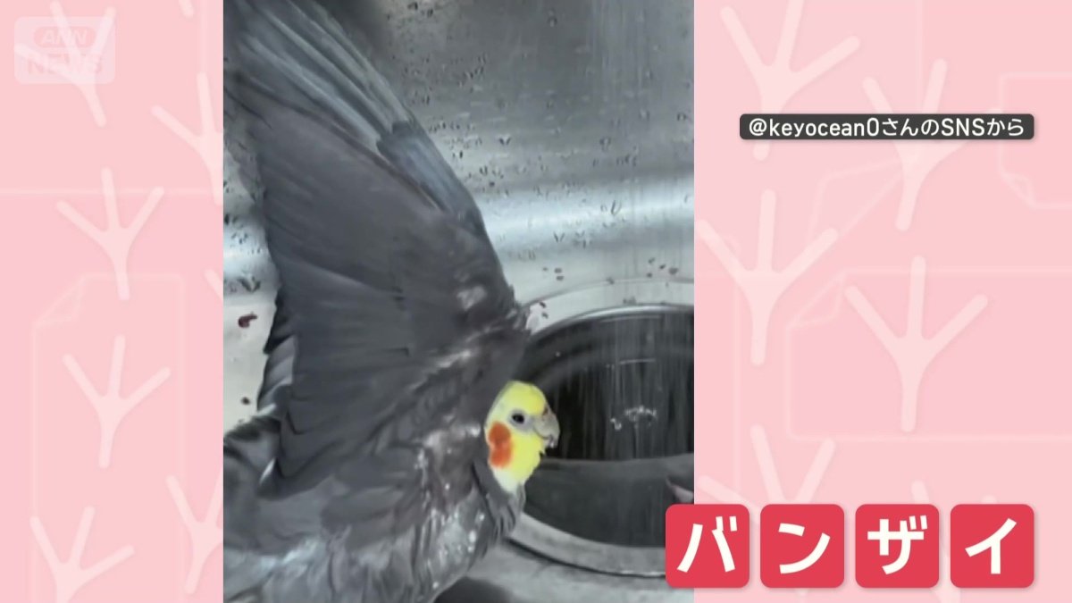 バンザイ!