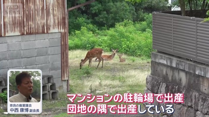 こんな事態も…