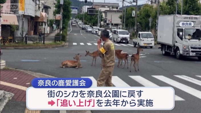 奈良公園に戻す「追い上げ」を行っている