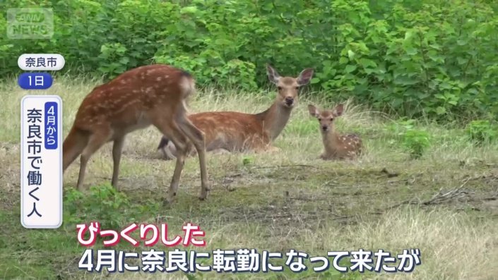 「そんないるって話も聞いてなかった」そうだが…
