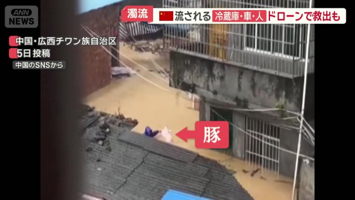 人とブタが浮いている