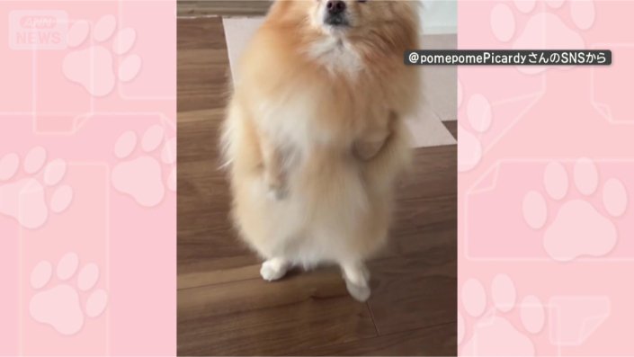 レッツダンス！