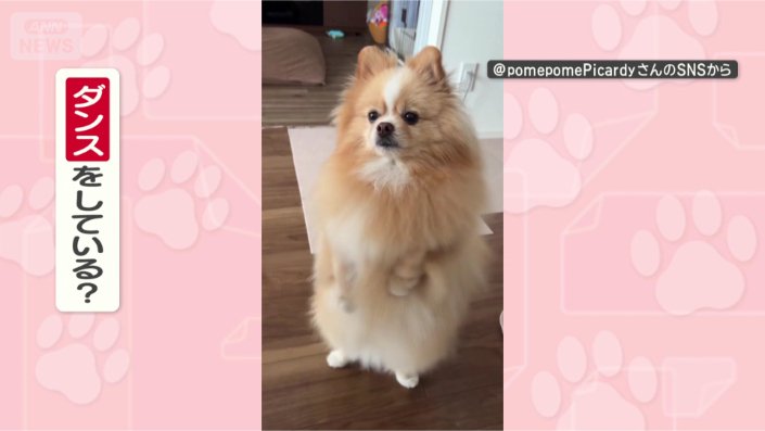 ダンスしているの？
