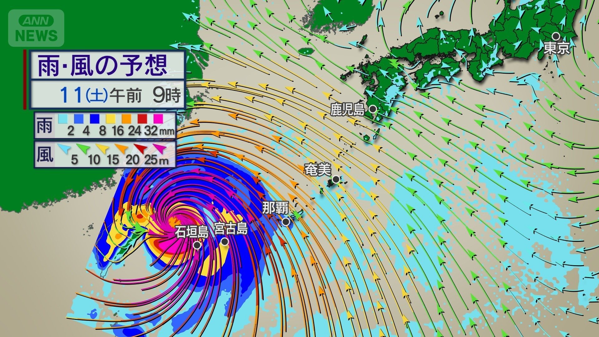 11日午前9時の雨風予想