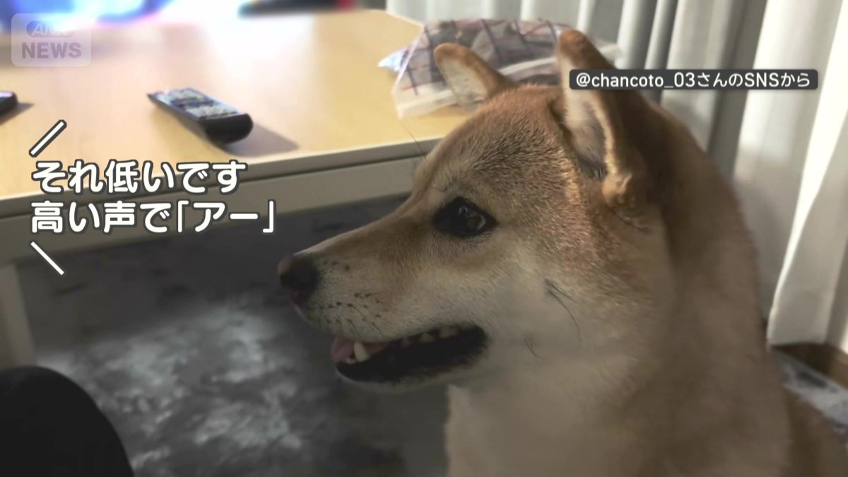 今度は成功！
