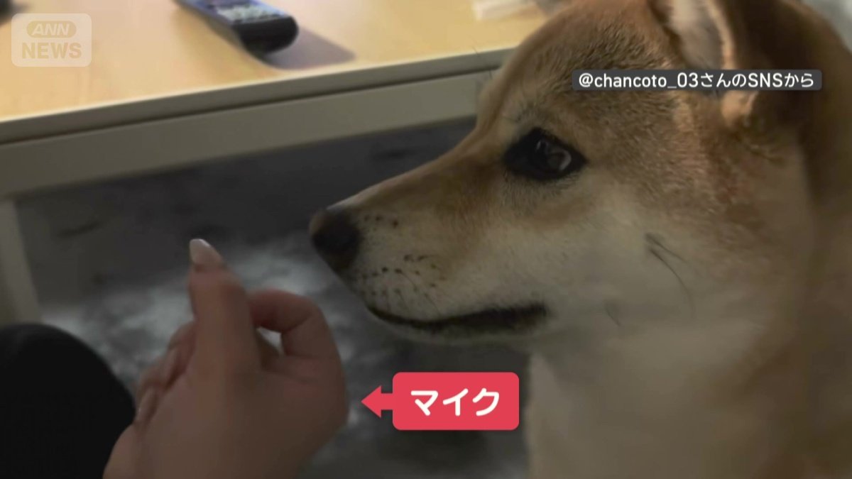 マイクを向けられる
