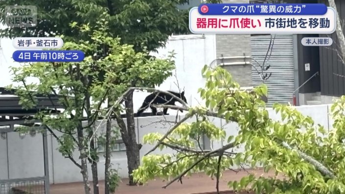 塀の下には、人が休憩できるスペースがある