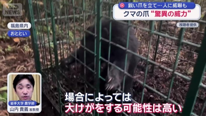 画像まとめ】クマの爪“驚異の威力”専門家「爪は凶器」