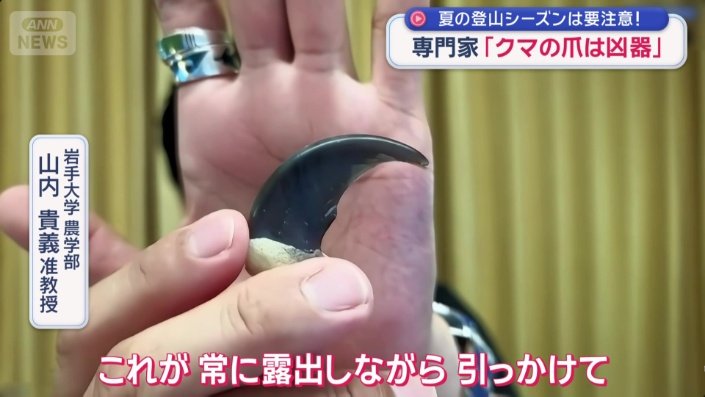 「人間にとっては凶器になる」