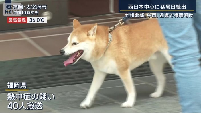 福岡県