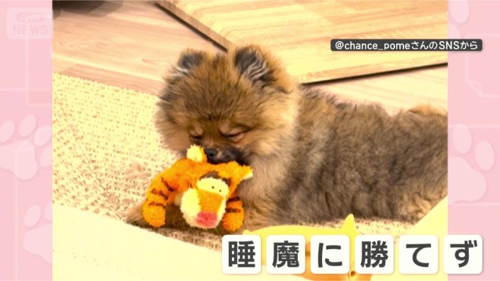 おやすみなさい
