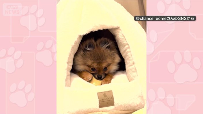ベッドでのんびり