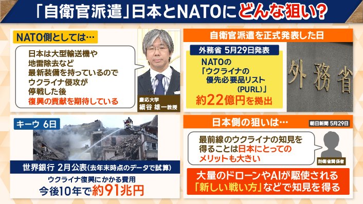 日本とNATOの思惑