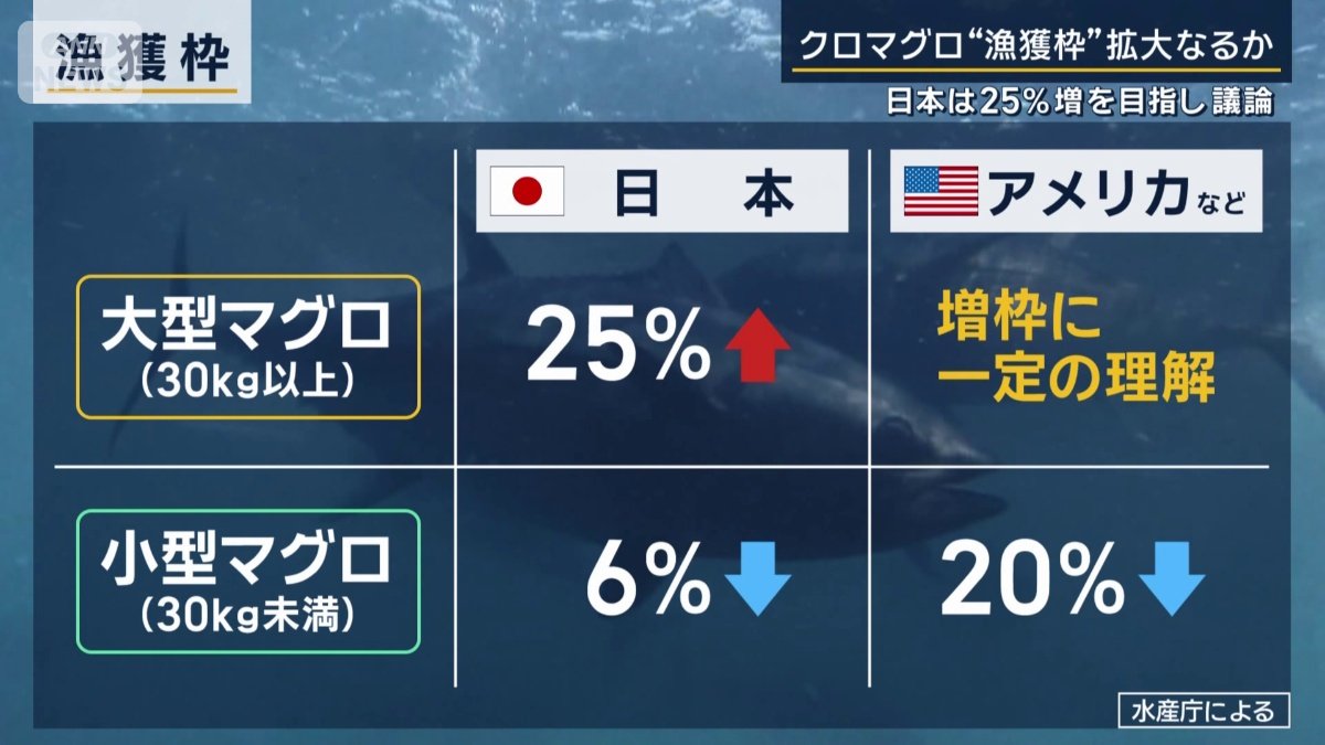 漁獲枠