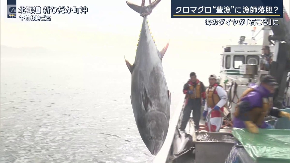 マグロ