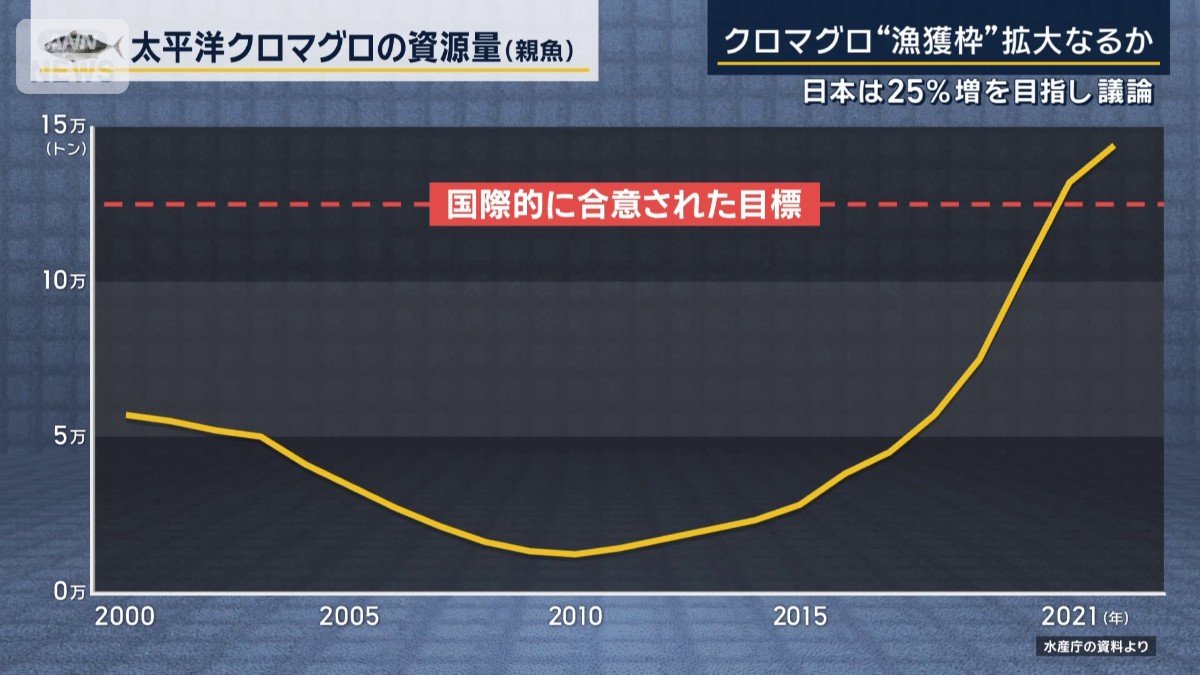 クロマグロの資源量