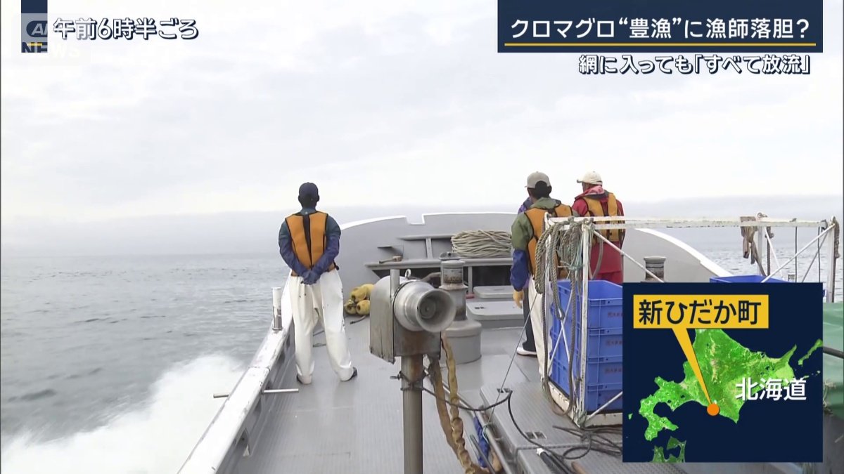 北海道・新ひだか町