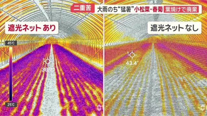 サーモカメラで比較