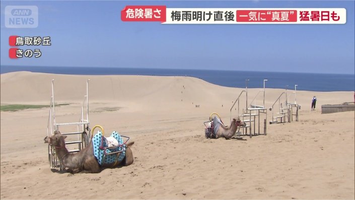 災害級大雨から一転猛暑 農家は悲鳴「収穫できず全部廃棄」 台風9号