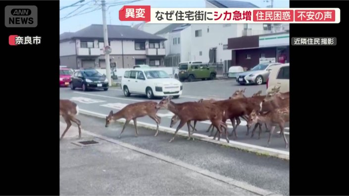 後ろでは車が渋滞