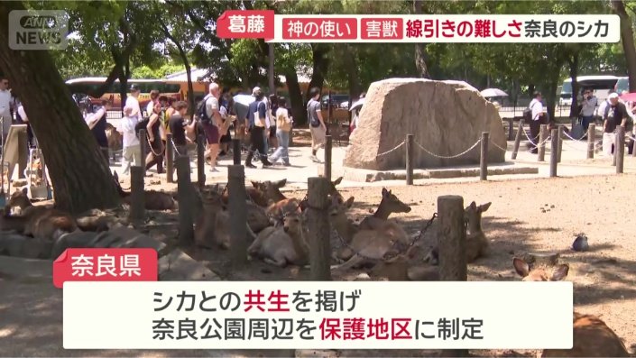 奈良公園周辺を保護地区に制定