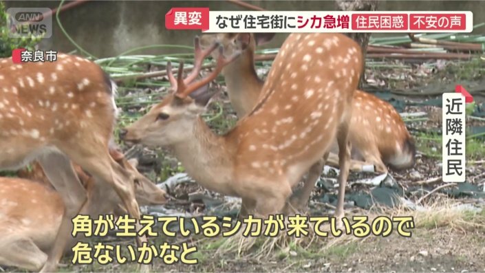 住民からは不安の声