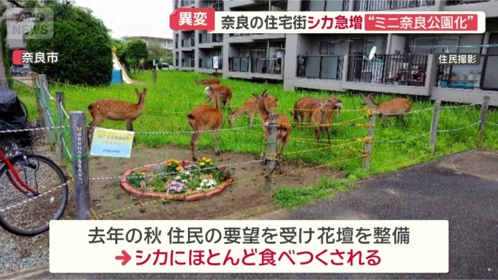 花壇の周りにロープを張ったが…