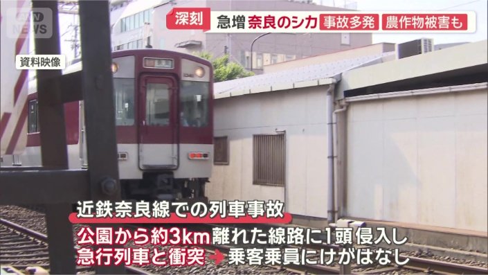 急行列車と衝突も