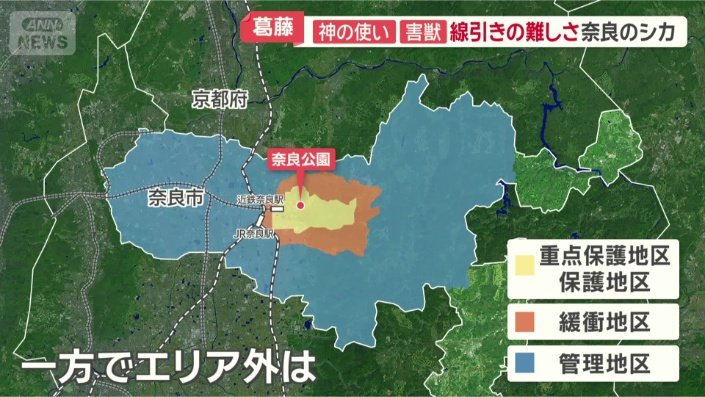 シカの駆除を行う