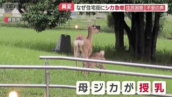 住宅街の近くで…