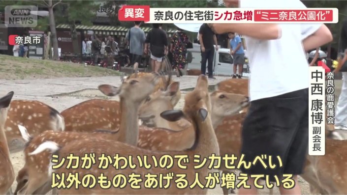 「餌やりが原因」